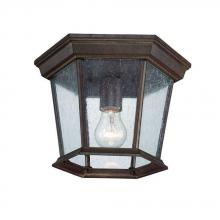  5275BW/SD - Dover Collection Ceiling-Mount 1-Light Outdoor Burled Walnut Light Fixture